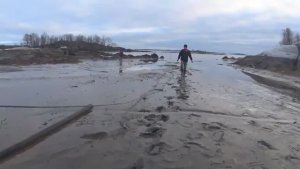 РЫЖИЙ ПРИШЁЛ СО СЛЕЗАМИ! ВОЗЬМИ В МОРСКОЙ МАГАЗИН С СОБОЙ!ПРИШЛИ В МАГАЗ А ТАМ СИГОВ И ДРУГОЙ РЫБЫ!