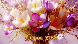 Доброе утро. Доброе весеннее утро.