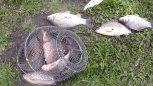 рыбалка на холодном канале