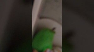 Матрасник существует!!!