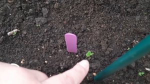 //8 апреля/ /ЕЗДИЛИ НА ДАЧУ//ПЛАНЫ НА ВЕСНУ//