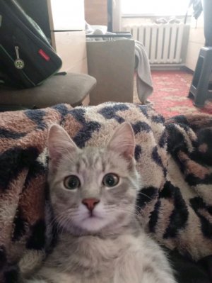 просто скучно