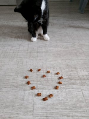 наше творчество