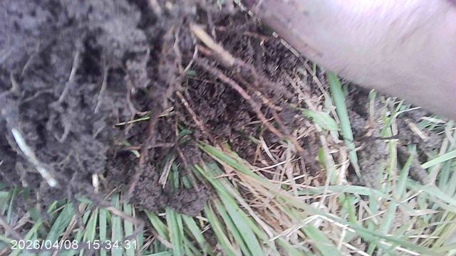 Обзор огородного грунта в разрезе: