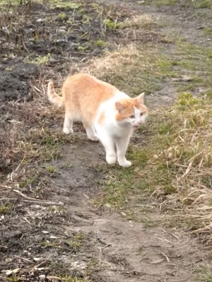 Я ухажу😔😔