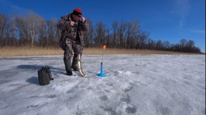 ВЕСЕННЯЯ РЫБАЛКА ПО ПОСЛЕДНЕМУ ЛЬДУ НА ЖЕРЛИЦЫ! ЩУКИ ПОЙМАНЫ СЕЗОН ЗАКРЫТ! ПОДВОДНАЯ СЪЕМКА ЩУКИ!