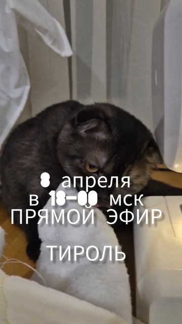 Ютюб и ВК ПРЯМОЙ ЭФИР СРАЗУ НА ДВУХ ПЛАТФОРМАХ в 18-00 мск