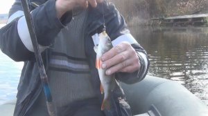 Цените в жизни каждую секунду..🎵 Песня классная!