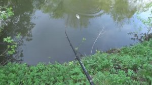 Красивая рыбалка на майского жука!Много поклёвок голавля на малой реке