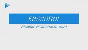 Развитие ратительного мира