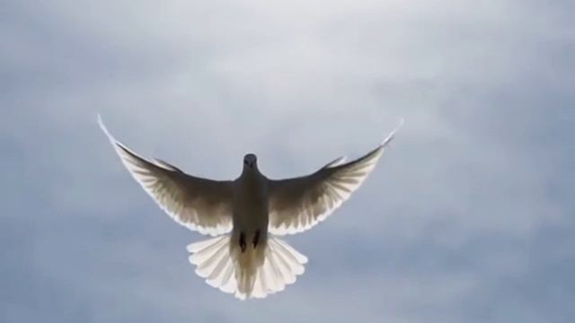 Россия живёт! смотреть онлайн