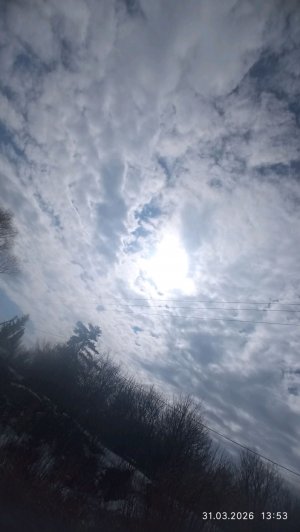 °^•~🌿💓,посмотрите! видосик,^^