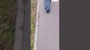 прогулка с друзьями