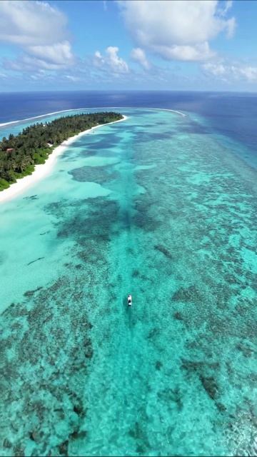 Красота тропического рая: райские острова #море #пляж #путешествие