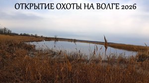 СУПЕР ОТКРЫТИЕ ВЕСЕННЕЙ ОХОТЫ НА ВОЛГЕ 2026 !!! СЕЛЕЗЕНЬ "УТОПИЛ" ПОДСАДНУЮ. MAX HUNTER