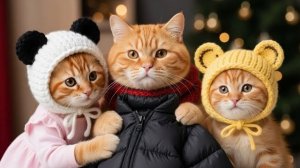 Рыжая сестренка и котенок в желтой шапочке тайно приготовили рождественский подарок для мамы-кошки