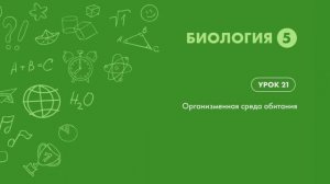 Организменная среда обитания