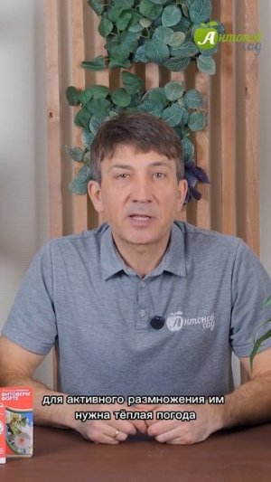 Галловые клещи: как защитить растения от вредителя?