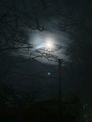 строим пиццерию Фредди без модов ❕