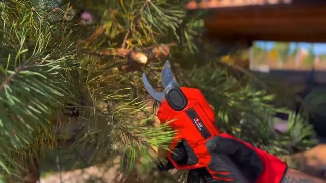 Набор садовый пила цепная аккумуляторная и секатор аккумуляторный BCCS20NM-2/BCP30-2VBL