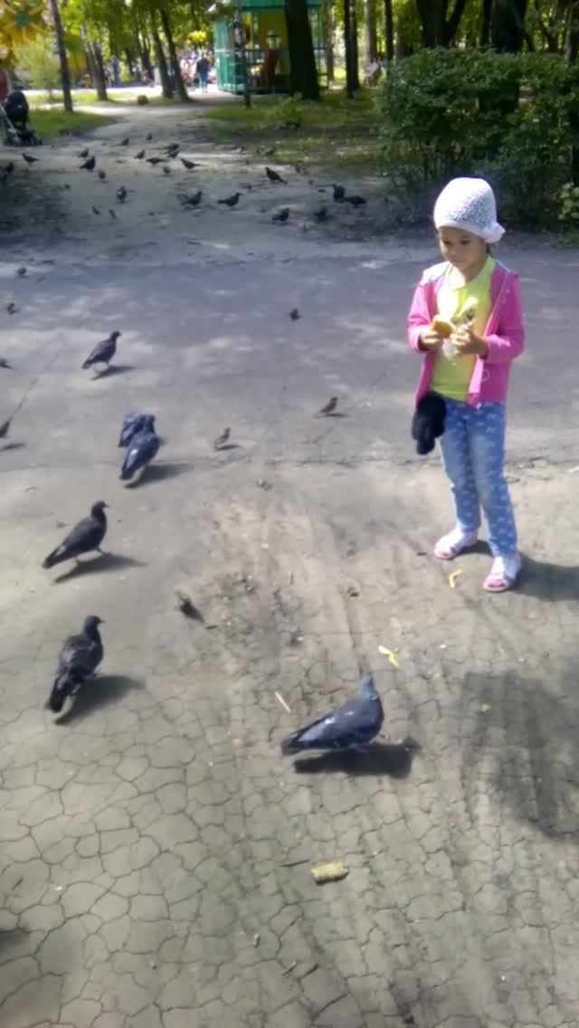 Кормим птичек, воробьи и голуби. Лето прогулка с дочкой. СМОТРЕТЬ ВИДЕО, детям и малышам