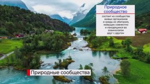 Природное сообщество