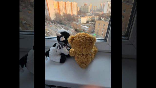 из жизни отдыхающих 2