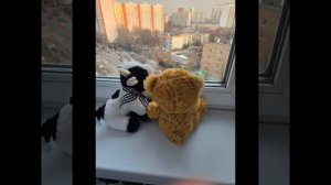 из жизни отдыхающих 2