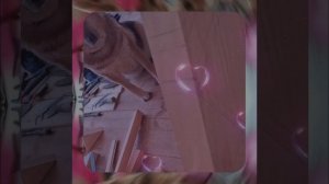 1000055448.mp4 (Собака наблюдает за устройством лестницы на 2-ой этаж в доме А-фрейм)