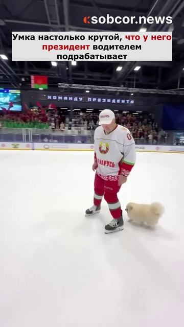 Умка настолько крутой, что у него президент водителем подрабатывает