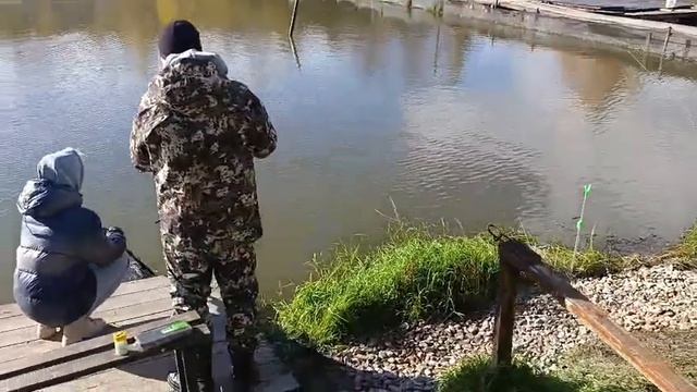 Форель 4 смотреть онлайн