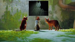 STRAY прохождение игры на PS5. Внутри стен. Мёртвый город. Первая часть🍿