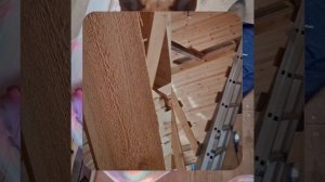 1000055454.mp4 (Собака наблюдает за устройством лестницы на 2-ой этаж в доме А-фрейм)