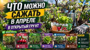ЧТО МОЖНО САЖАТЬ В АПРЕЛЕ В ОТКРЫТЫЙ ГРУНТ
