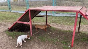 Вконтакте зачищают аккаунты и удаляют подписчиков