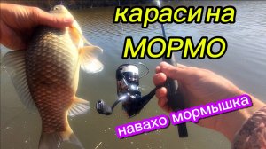 Крупные караси на мормышку! Олта навахо мормышка 168
