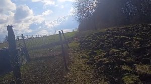 Старость пришла, а мудрость к другому ушла