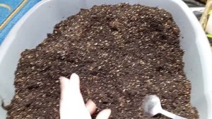 Апрель..... Пикировка....