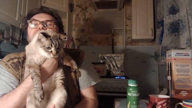 7 и 8 апреля 2026. Разное. Новые обои в комнате.