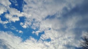 Вечернее небо, обещают снег. Гармония в душе💐🌺