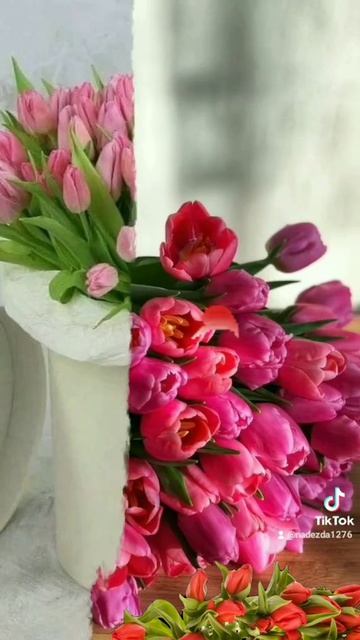 Доброе утро