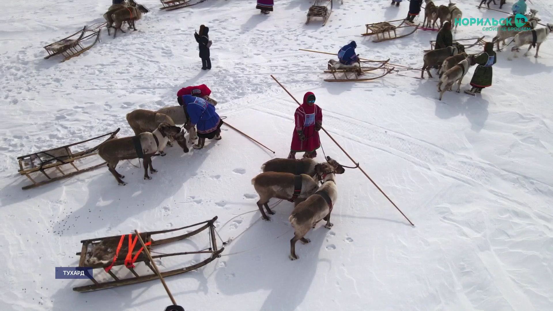 Норильские новости - 21.01.2026