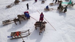 Норильские новости - 21.01.2026