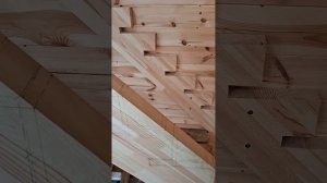 1000055352.mp4 (Собака наблюдает за устройством лестницы на 2-ой этаж в доме А-фрейм)