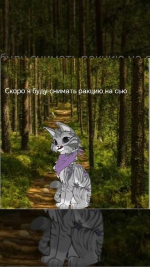 Я буду снимать ракцию на сью