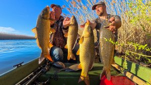 САЗАН ПРЁТ! ЛОВЛЯ НА ЖМЫХ И ЧЕРВЯ. РЫБАЛКА С ПАПОЙ В ДЕБРЯХ ВОЛЖСКОЙ ДЕЛЬТЫ.