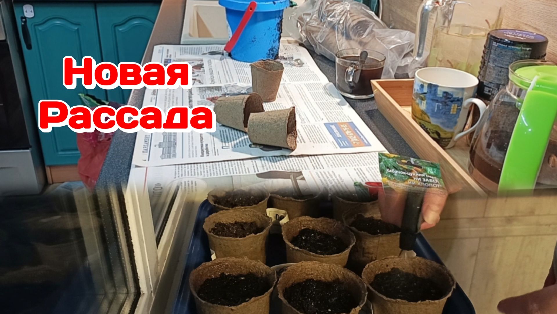 Опять сажаю/Болталка вечерняя  Часть 3