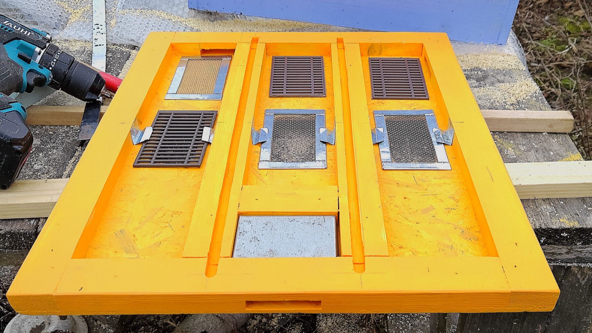 Диафрагма Дюкарева