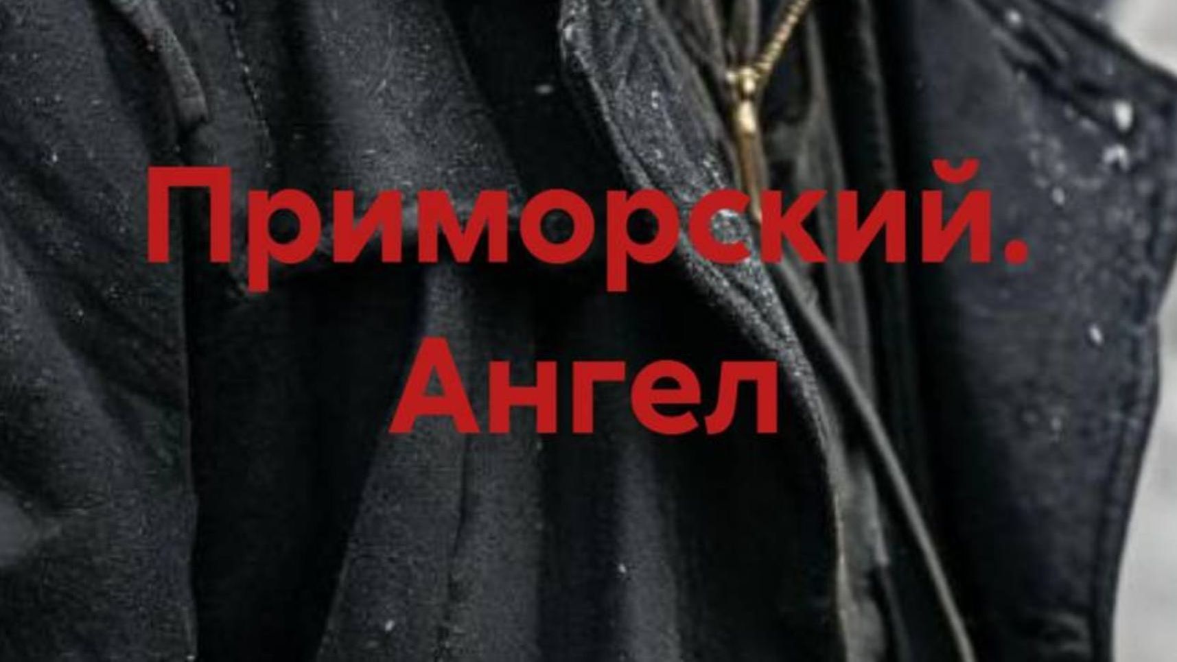 Книга/аудиокнига Приморский. Ангел.