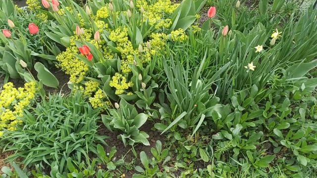 У природы нет плохой погоды...